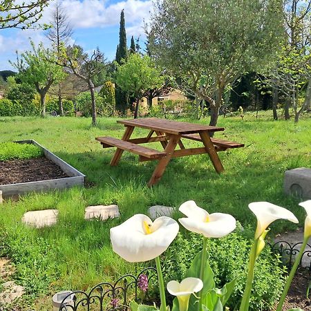 My Quiet Place Near Carcassonne Buitenkant foto
